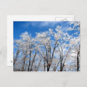 Winter Blues Briefkaart (Voorkant / Achterkant)