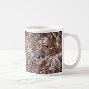 Winter Bohemian Waxwing Koffiemok