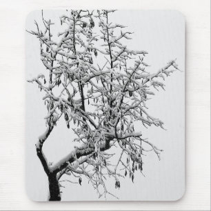 Winter boom Muismat
