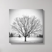 Winter Boom Opgespannen Canvasprint