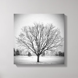 Winter Boom Opgespannen Canvasprint Canvas Afdruk