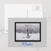 Winter Born Briefkaart (Voorkant / Achterkant)