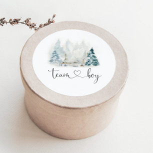 Winter bos geslacht onthul team jongen stickers