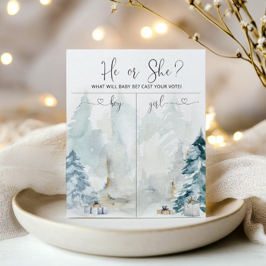 Winter bos Geslacht onthullen Jongen of Meisje gra Poster