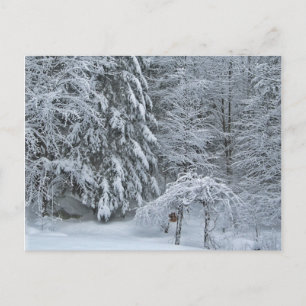Winter bos landschap fotograferen met sneeuw bedek briefkaart