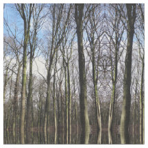 Winter-bos met foto's