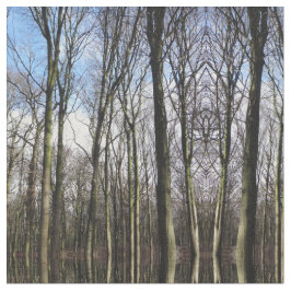 Winter-bos met foto's stof
