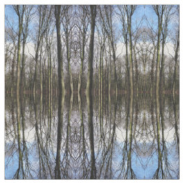 Winter-bos met foto's stof