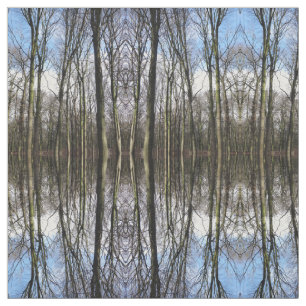 Winter-bos met foto's stof