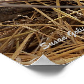 Winter Bosland Verwilderde Kat Print (Hoek)