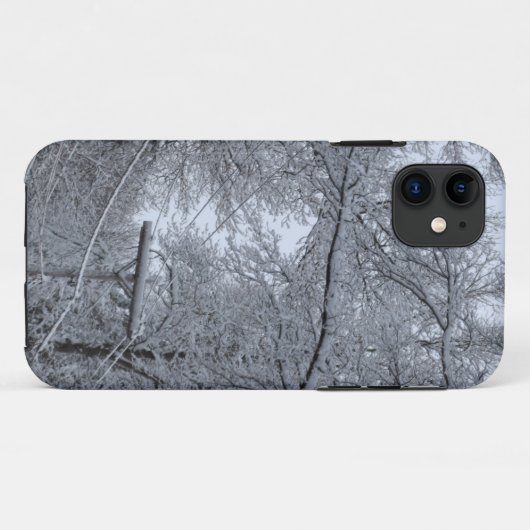 Winter, Boston iphone case (Achterkant (horizontaal))