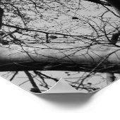 Winter Branches (B&W) Poster (Hoek)