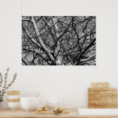 Winter Branches (B&W) Poster (Keuken)