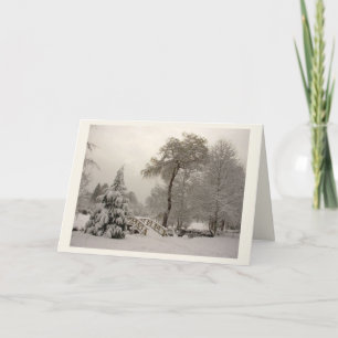 Winter Bridge Greeting Card Custom or Blank Card Feestdagen Kaart