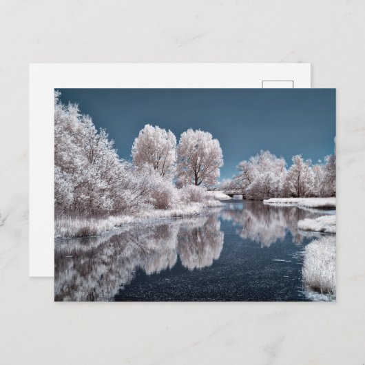 Winter Briefkaart (Voorkant / Achterkant)