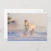 Winter, Briefkaart (Voorkant / Achterkant)