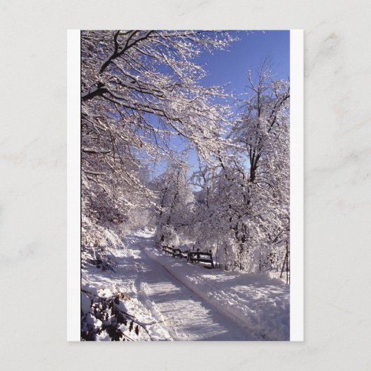 Winter Briefkaart (Voorkant)