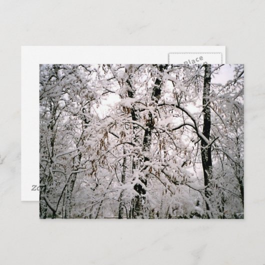 Winter Briefkaart (Voorkant / Achterkant)