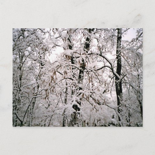 Winter Briefkaart (Voorkant)