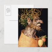 Winter, Briefkaart (Voorkant / Achterkant)