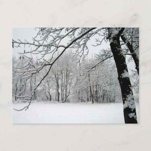 winter briefkaart (Voorkant)