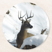 Winter Buck-Onderzetter