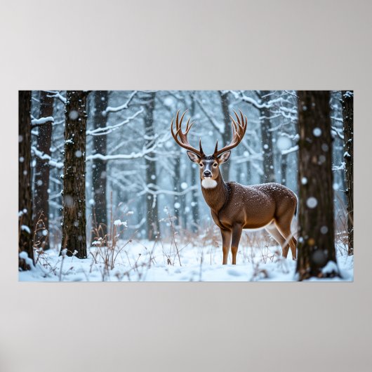 Winter Buck-Poster Poster (Voorkant)