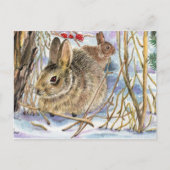 Winter Bunnies Briefkaart (Voorkant)