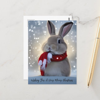 Winter Bunny Kerstmis Briefkaart