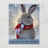 Winter Bunny Kerstmis Briefkaart (Voorkant)
