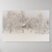 Winter Cabin Poster (Voorkant)
