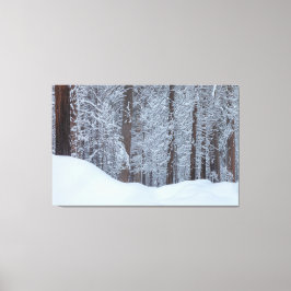 Winter Canvas Afdruk