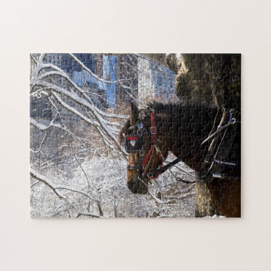 Winter Carriage Horse Legpuzzel (Horizontaal)