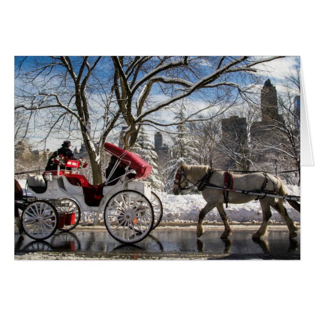 Winter Carriage Horses in Central Park (Voorkant Horizontaal)