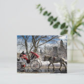 Winter Carriage Horses in Central Park Briefkaart (Staand voorkant)