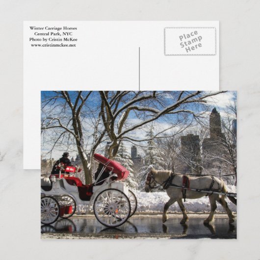 Winter Carriage Horses in Central Park Briefkaart (Voorkant / Achterkant)