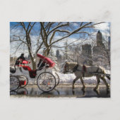 Winter Carriage Horses in Central Park Briefkaart (Voorkant)