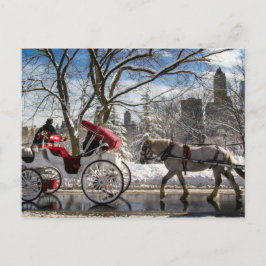 Winter Carriage Horses in Central Park Briefkaart