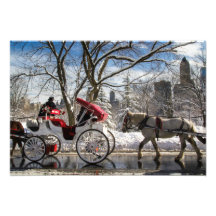 Winter Carriage Horses in Central Park