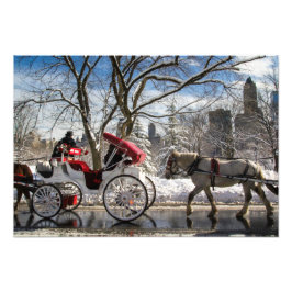 Winter Carriage Horses in Central Park Foto Afdruk