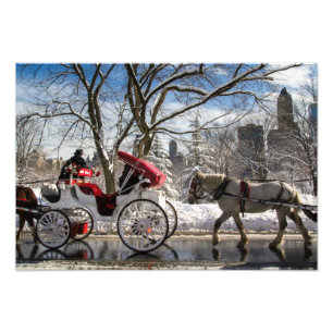 Winter Carriage Horses in Central Park Foto Afdruk