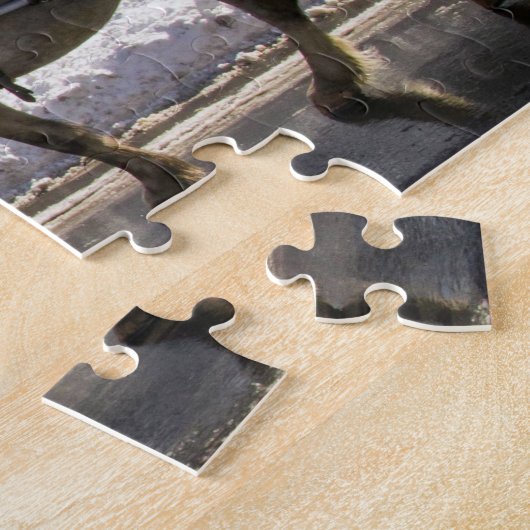 Winter Carriage Horses in Central Park Legpuzzel (Zijkant)