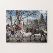 Winter Carriage Horses in Central Park Legpuzzel (Horizontaal)