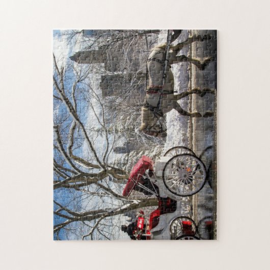 Winter Carriage Horses in Central Park Legpuzzel (Verticaal)