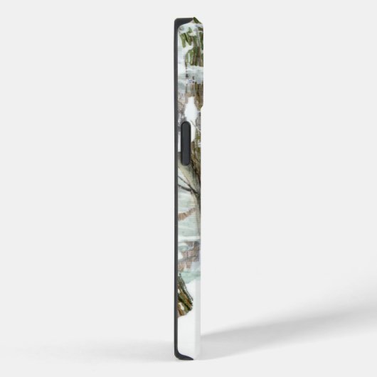 Winter Case-Mate iPhone Case (Achterkant / Rechts)