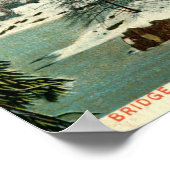 Winter, Cemtral Park, New York City  Poster (Hoek)