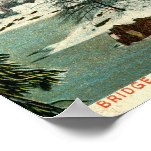 Winter, Cemtral Park, New York City  Poster (Hoek)