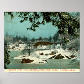 Winter, Cemtral Park, New York City  Poster (Voorkant)