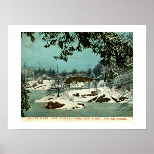 Winter, Cemtral Park, New York City  Poster (Voorkant)