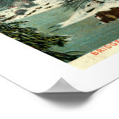 Winter, Cemtral Park, New York City  Poster (Hoek)